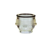 RIEGLER 101382-100/244 - Tamiz transparente para regulador de presión para agua potable, R 1, R 1 1/4, 1 unidad
