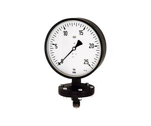 RIEGLER 102589-PL 1915 - Pluma de placa de resorte, resistente, G 1/2 radial inferior, 0-6,0 bar, diámetro de 100, 1 unidad