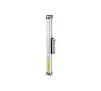 RIEGLER 106312-6.DD.250100 - Cilindro sin barra de pistón, doble torsión, diámetro del pistón 25, carrera 100, 1 unidad