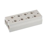 RIEGLER 116226-5510.04-18 - Placa base múltiple para válvulas de 3/2 vías, 4 posiciones, M5, G 1/8, 1 unidad