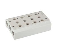 RIEGLER 116245-5520.02-18 - Placa base múltiple para válvulas de 5/2-5/3 vías, 2 Pos, M5, G 1/8, 1 unidad