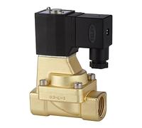 RIEGLER 116559-MV 1552 2/2 Vías MV, "2W" MS, NC, Vorg, 24 V DC, G 3/4, PN 0,5-10 bar, 1 unidad