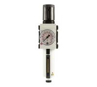 RIEGLER 139484-FU 813-M-1 FUTURA - Regulador de filtro (1 unidad, MB, SR, Mano, BG 2, G 3/8, 0,1-1 bar, HA, 1 unidad)