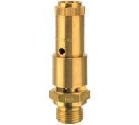 RIEGLER 150307-227.55-49,0 Válvula de seguridad de carrera completa DN 10, MS, G 1/2, presión de respuesta 49 bar, 1 unidad