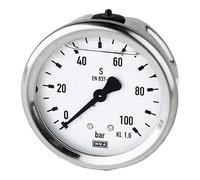 Riegler - Glicerina g1 / 4 reset. 63mm clase 0-250bar carcasa de acero inoxidable de 1,6