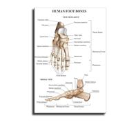 RNUMLIGH Black and White Foot Anatomy Skeletal System Posters Canvas Prints Set Educational Wall-Art for Home Office Decor(Framed,16x24inch(40x60cm))