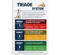 RNUMLIGH Dog Cat Pet First Aid Triage Chart Emergency Care Educational Guide for Animal Training Facility Veterinary Clinic Home(Framed,16x24inch(40x60cm))