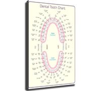 RNUMLIGH Teeth Chart Posters - Wall-Art Canvas Prints for Clinic Decor Professional for Office and Practice(Unframed,08x12inch(20x30cm))