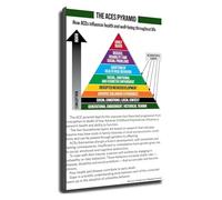 RNUMLIGH Trauma Informed Care Poster ACE Pyramid Adverse Childhood Experiences Psychology Wall-Art for Counseling Office Decor School Social Worker(Unframed,16x24inch(40x60cm))
