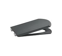 Roca - Asiento Pintado Hall Grafito (A801620924)