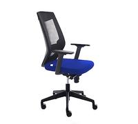 Silla Oficina Ergonómica Con Regulación Lumbar | Silla De Escritorio Para Ordenador, Cómoda Y Giratoria, Color Azul Y Negro