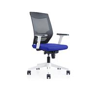 Silla Oficina Ergonómica Regulación Lumbar | Silla De Escritorio Robusta Y Cómoda, Color Azul