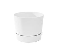 Root & Vessel Majestic Mid-Century Modern Low Profile Cylinder Pot, Matte White, 12.5"