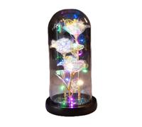 Rosa de galaxia encantada personalizada en cúpula de cristal, luces LED coloridas en la cúpula de cristal, regalos de rosa de Navidad para ella, para Navidad, día de San Valentín, aniversario, boda