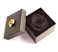 Rosa eterna negra en caja de 8,5 cm – conservada, con una duración de 3 años
