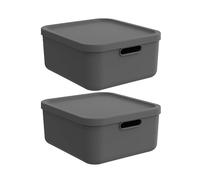 Rotho Albula - Caja de almacenaje con tapa (20 L, 2 unidades, apilable), color antracita