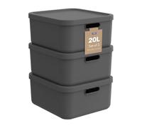 Rotho Albula - Juego de 3 cajas de almacenaje con tapa, 20 L, color gris | Caja apilable de 20 litros