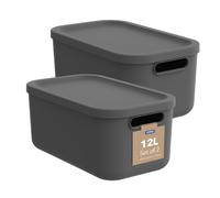 Rotho Albula Light - Juego de 2 cajas de almacenaje (12 L, con tapa, plástico)