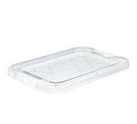 Rotho Evo Easy Portada, plástico alimentario (PP) sin BPA, transparente, (17.9 x 12.2 x 1.1 cm)
