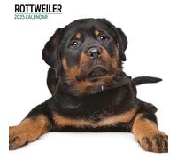 Rottweiler - Calendario moderno 2025