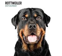 Rottweiler - Calendario moderno 2027