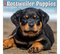 Willow Creek Press, Just Rottweiler Puppies Calendario de pared 2027