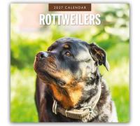Rottweilers 2027 Square Wall Calendar: Original Red Robin Publishing Ltd-Kalender [Mehrsprachig] [Kalender]