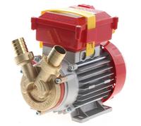 Rover 25 CE - Bomba eléctrica de trasiego de bronce - Monofásica - 230 V