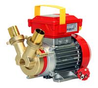 Rover 35 CE - Bomba eléctrica de trasiego de bronce - Monofásica - 230 V