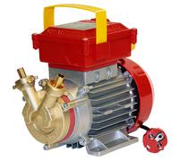 Rover BE-M 10 - Bomba eléctrica de trasiego de bronce - Monofásica - 230 V