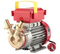 Rover BE-M 20 - Bomba eléctrica de trasiego de bronce - Monofásica - 230 V