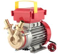 Rover BE-M 20 IP 55 - Bomba eléctrica de trasiego en bronce con protección IP55 - Monofásica - 230 V