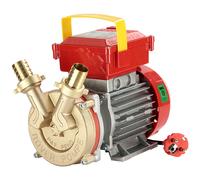 Rover BE-M 25 - Bomba eléctrica de trasiego de bronce - Monofásica - 230 V
