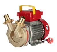 Rover BE-M 30 - Bomba eléctrica de trasiego de bronce - Monofásica - 230 V