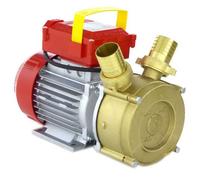 Rover BE-M 40 - Bomba eléctrica de trasiego de bronce - Monofásica - 230 V