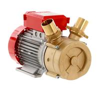 Rover BE-M 50 - Bomba eléctrica de trasiego de bronce - Monofásica - 230 V