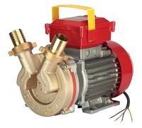 Rover BE-T 30 - Bomba eléctrica de trasiego de bronce - Trifásica - 400 V