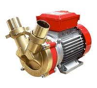 Rover BE-T 50 - Bomba eléctrica de trasiego de bronce - Trifásica - 400 V