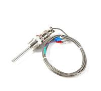 Rtd Pt100 - Sensor De Temperatura (Conexión Roscada Npt De 1/2", Con 3 Cables De 2 M, De -50 A 300 °C)