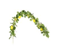 RUNROTOO Guirnalda de Frutas Artificiales Simulación de Limón para Decoracion Navidad Hogar Puerta, Adecuado para Celebracion Verano y Uso Decorativo en Interiores