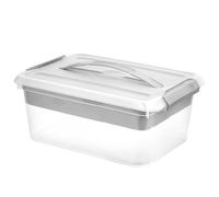 RWFMO Caja de almacenamiento con tapa e inserto extraíble, caja clasificadora de plástico con asa de transporte, caja organizadora transparente para utensilios de manualidades, oficina, costura y