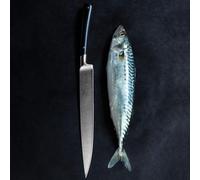 SABATIER La Gama EDONIST de Lion Gama Edonist de Lion Ofrece Cuchillos forjados robustos y equilibrados, cuidadosamente elaborados en Thiers, Francia. Tanto si Eres un