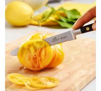 Sabatier La gama IDEAL de Lion Fabricados en Thiers, corazón de la tradición cuchillera francesa, los cuchillos Lion IDEAL están 100% forjados, lo que garantiza robustez