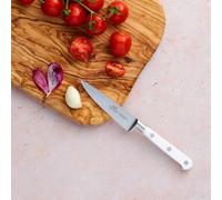 SABATIER La Gama Ideal de Lion Fabricados en Thiers, corazón de la tradición cuchillera Francesa, los Cuchillos Lion Ideal están 100% forjados, lo Que Garantiza robustez