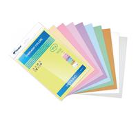 Sadipal pack 10 cartulinas a4 colores intensos 185gr, s322a450
