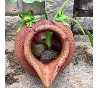Saliva de estanque para estanques pequeños, fuentes de estanque de animales, estatua de fuente de agua al aire libre, escultura de paisaje acuático de poliresina para jardín, patio, estanque piscina