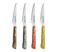 San ignacio set de cuchillos para carne evergreen bgeu-6076 multicolor