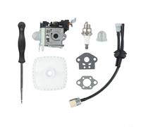 Sandyseptember Kit de carburador para soplador de hojas Echo PB-250LN PB-250 ES-250, para zama RB-K106 reemplazo con juntas, para bombilla de imprimación, filtro de aire y tubería