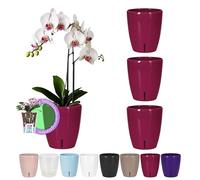 Santino Juego de 4 Macetas para Orquídeas Ø 15cm Macetas Autorriego con Sistema de Mecha e Indicador de Nivel de Agua para Interior (Ø 15cm - 2L - Morado)