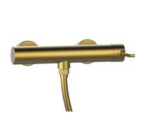 Sapho Iconic - Grifo de ducha, oro mate AF011GB